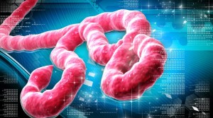 ebola