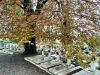 cemetery1