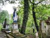 lychakiv-cemetery
