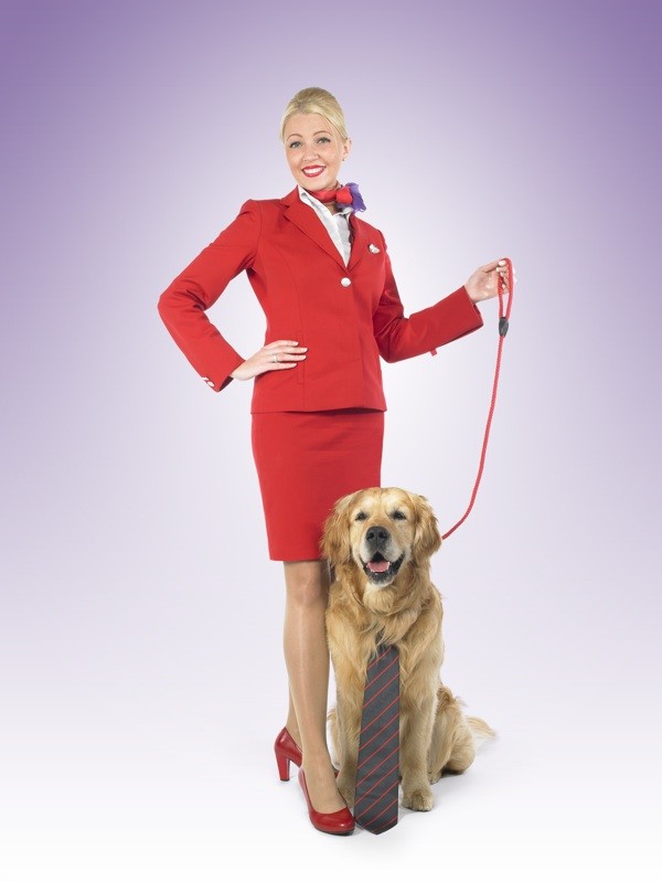 Virgin Australia introduces frequent flier miles for pets