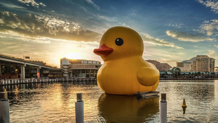 Giant yellow duck to debut in Taiwan