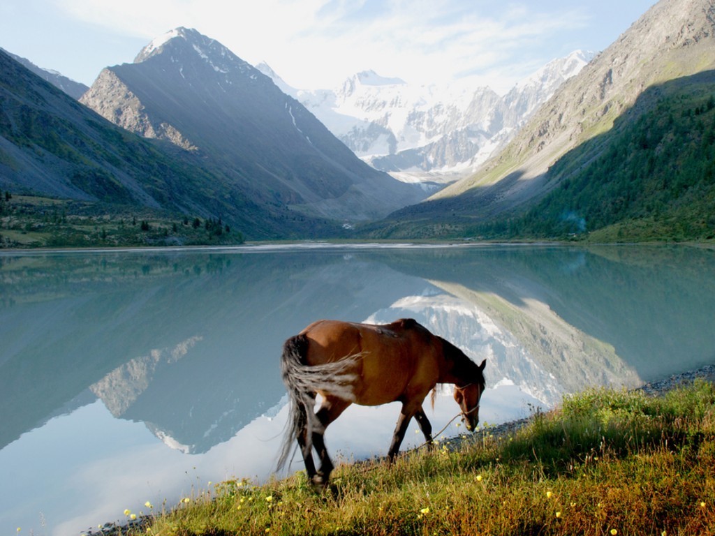UNWTO will help Altai region to develop as a tourist destination