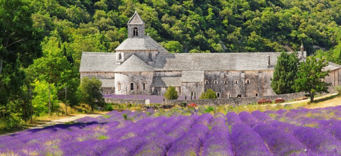 visit abbey of senanque provence tour 155380484 7