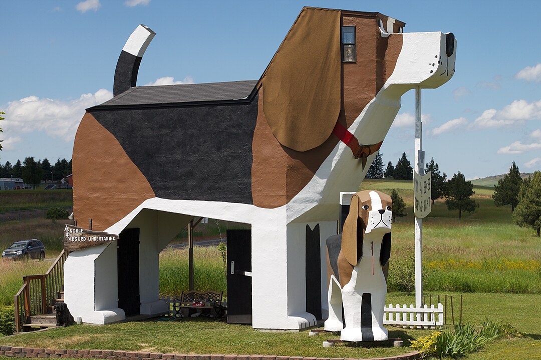 Craziest Hotels