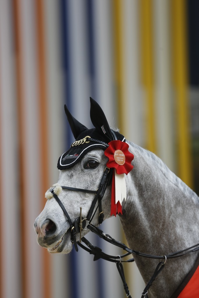 London International Horse Show to Debut at ExCeL London 1 horse