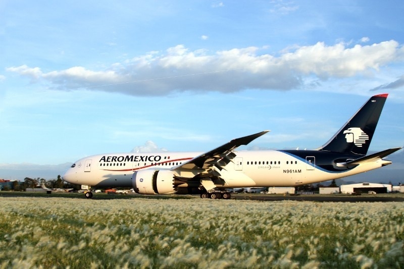 Aeromexico Plane Crashes