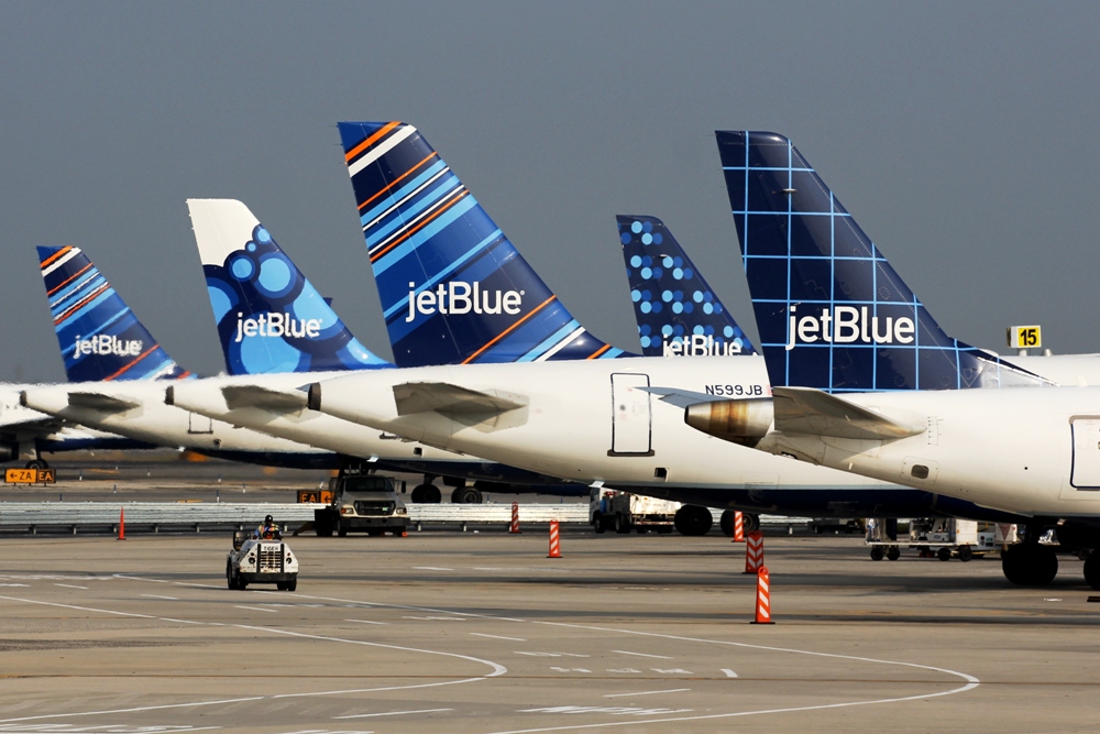 jetblue tailfins blueberries