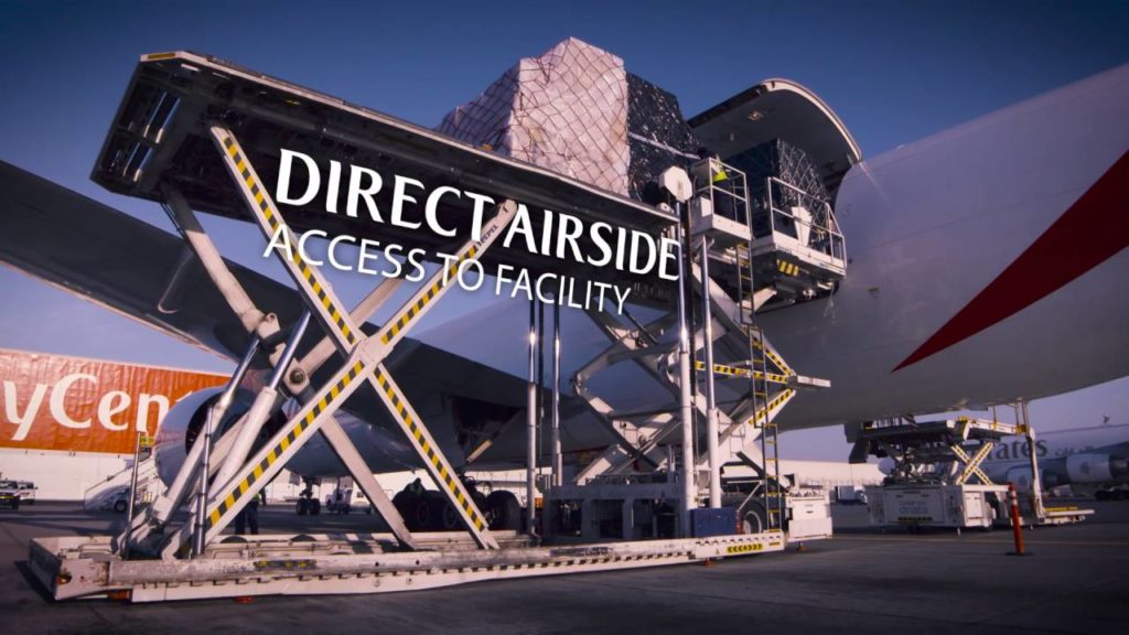 Watch how salmon are transported from Norway to restaurants in Japan