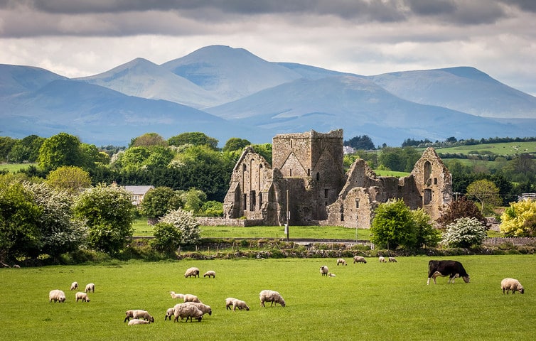 Travelzoo Ancient ruin Ireland