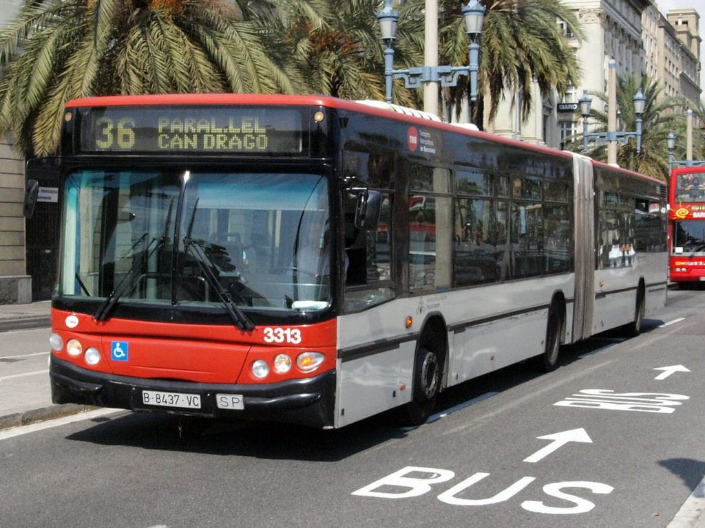 bus