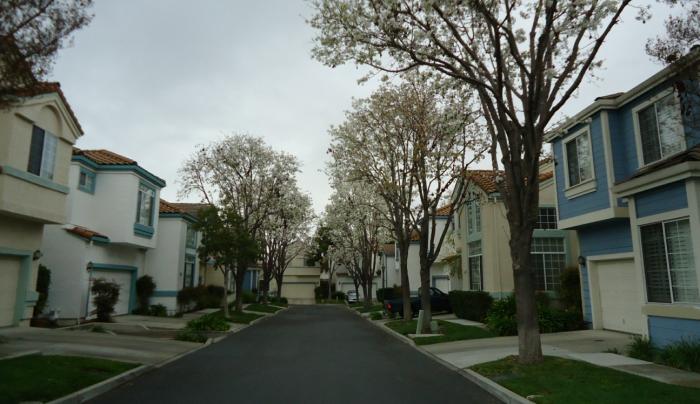 Santa Clara County secures decision blocking Trump's order 1 31 big