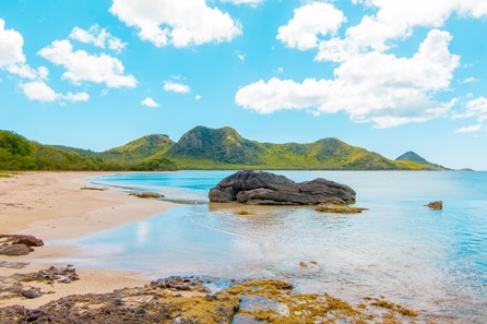 Delta Sale: Antigua, Grenada and St. Kitts