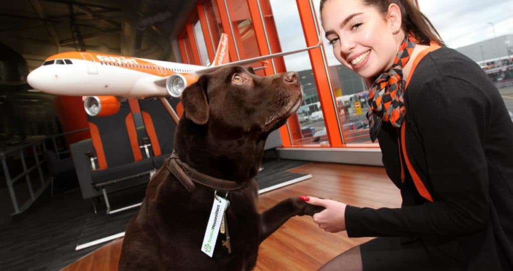 easyJet partners with TrustedHousesitters