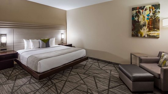 hotels in Houston