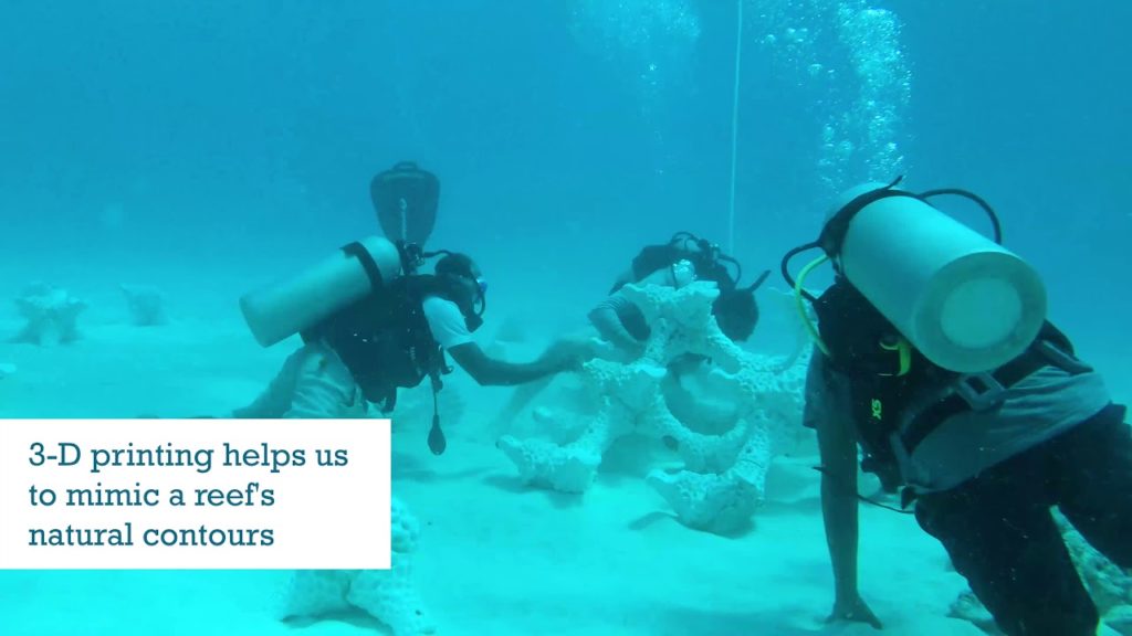 World’s Largest 3-D Printed Reef Installed at Summer Island Maldives