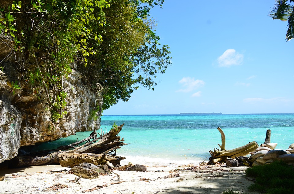 Palau Bans Sunscreen to Protect Coral Reefs