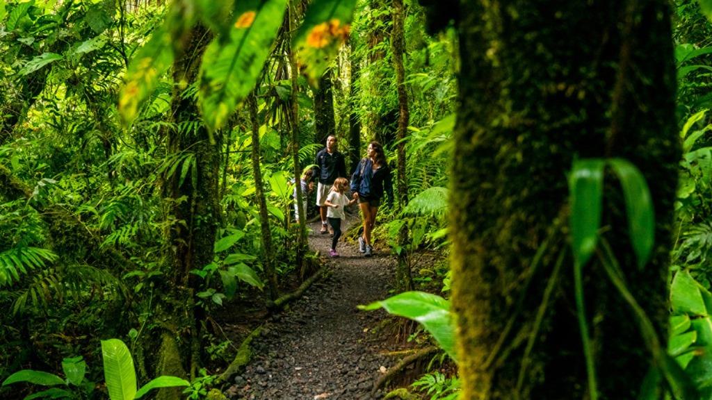 Four Seasons Resort Costa Rica Unveils New Land and Sea Adventure