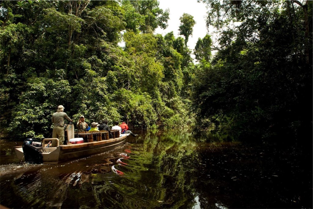 amazon cruise