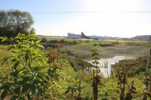 London Stansted Reveals Success of First Biodiversity Week 2 London Stansted