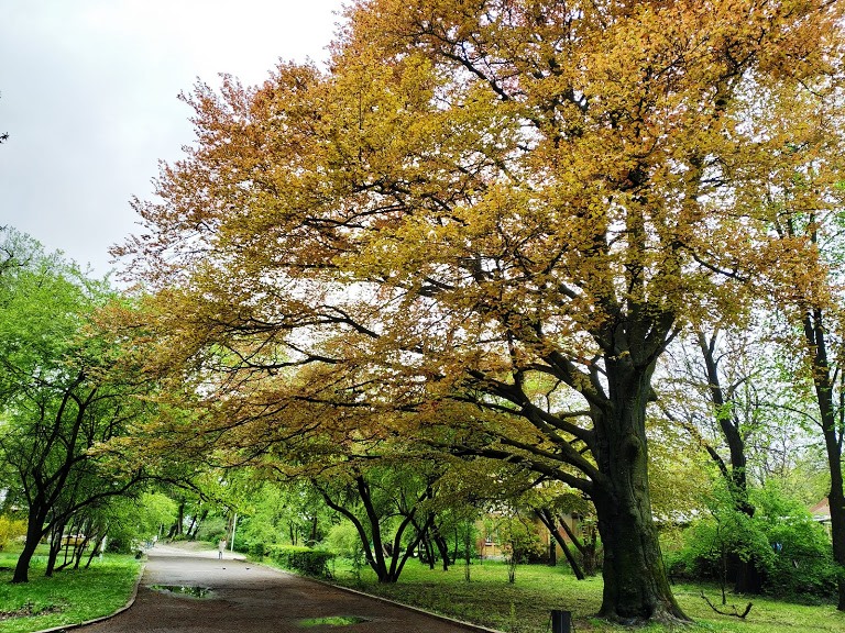 The High Castle Park