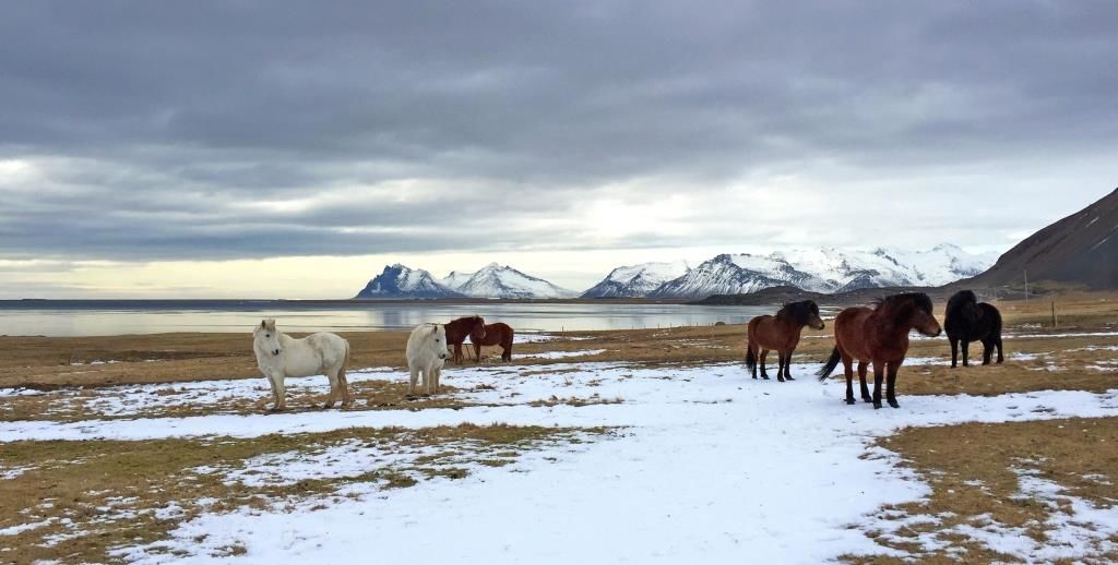 Six Senses Iceland