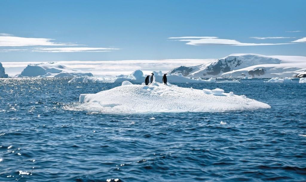 Silversea Cruises Openes Sales on Antarctica Cruises