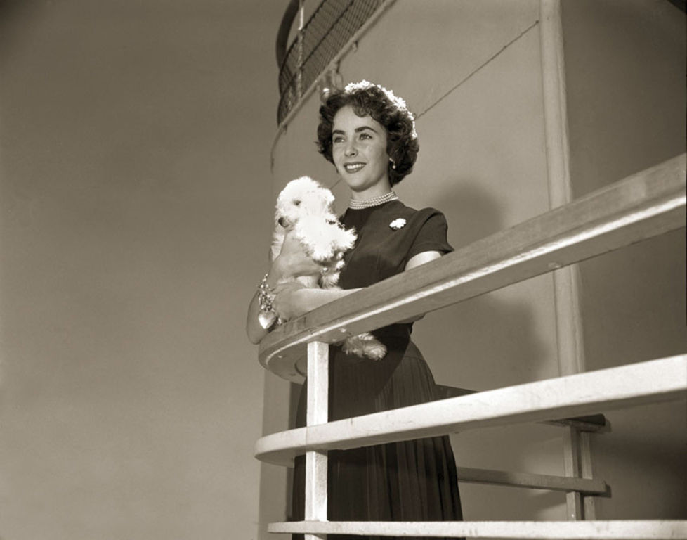 Cunard Offer Exclusive Exhibition of Property from the Lifestyle of Elizabeth Taylor 