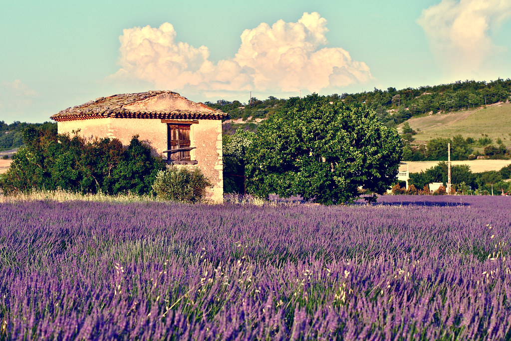 4 Perfect Destinations for a Honeymoon in France