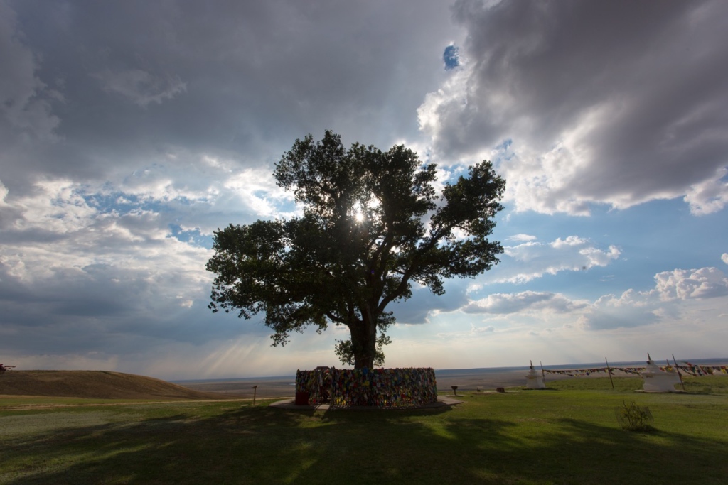 Lonely Poplar, Russia