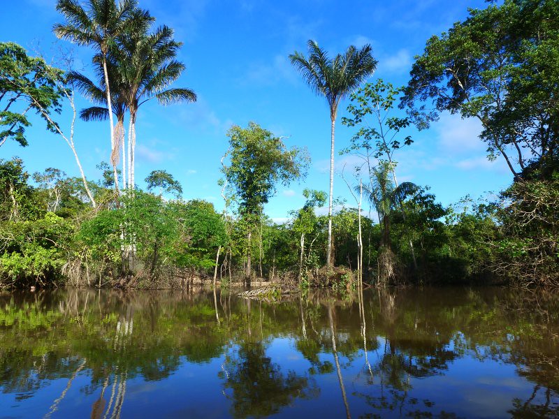 Amazon River Cruises