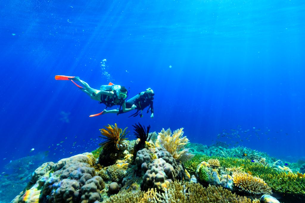 Coral Expeditions Unveils New Great Barrier Reef Expeditions