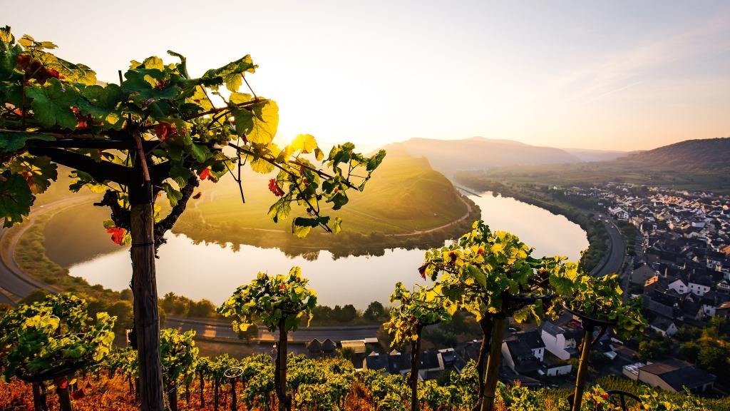 A-ROSA River Cruises Launches Moselle Trips