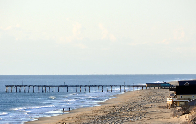 6 Best Places to Visit With Your Dog When on The Outer Banks 3 Outer Banks