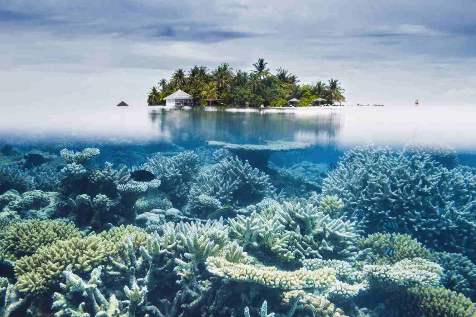 Maldives Tourism Revives over Festive Season