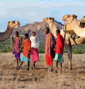 Safari Laikipia Kenya