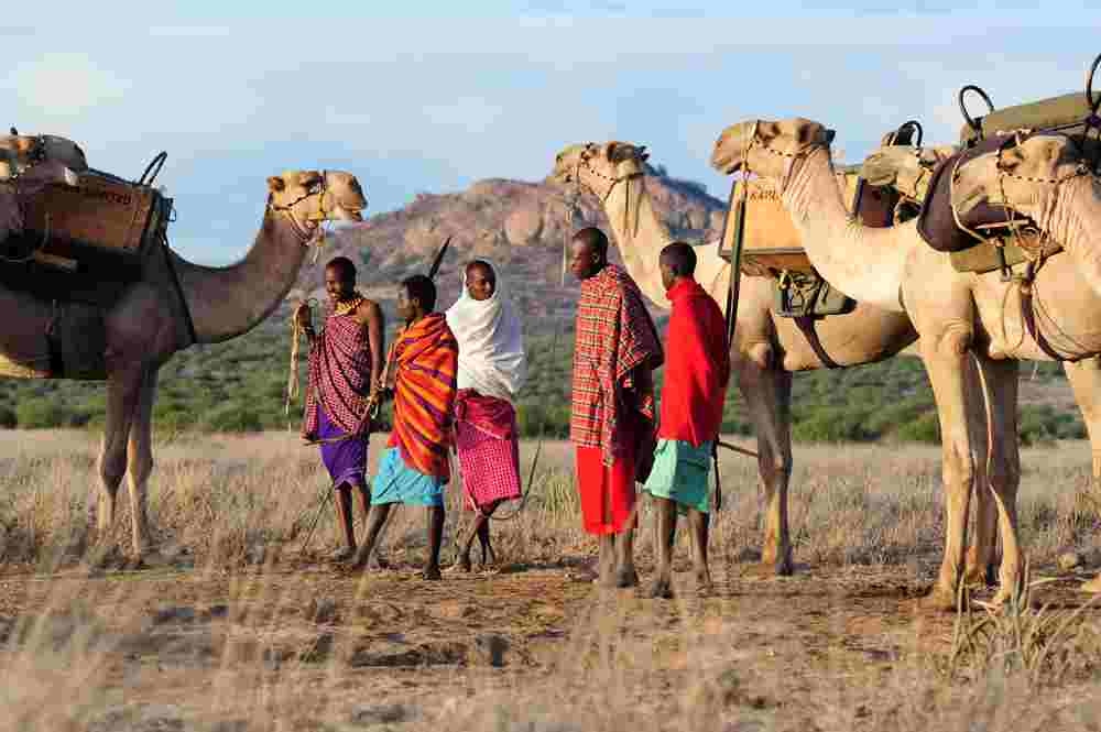 Safari Laikipia Kenya