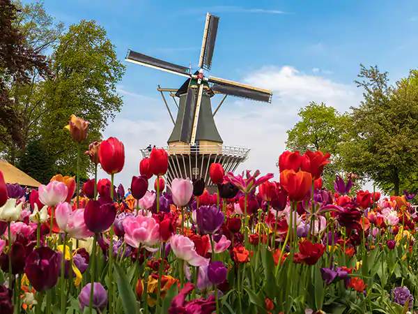 AmaWaterways to Welcome Guests during Floriade Expo