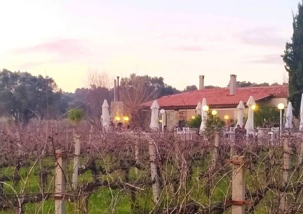 urlice wineries Urla