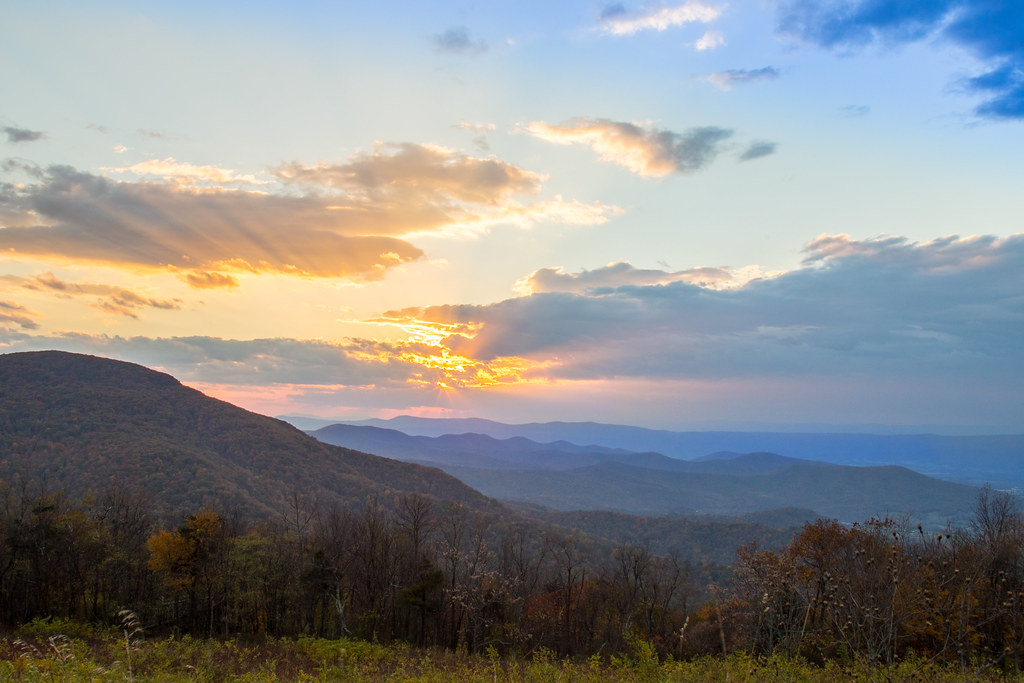 Shenandoah