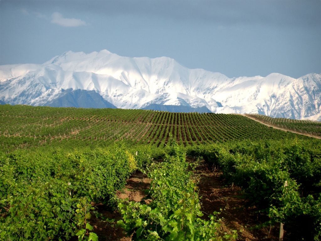 Azerbaijan Awarded “Best Crossborder Wine Tourism Product”
