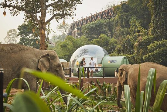 Anantara Golden Triangle Elephant Camp & Resort