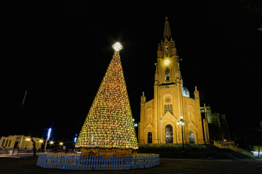 Christmas Trees