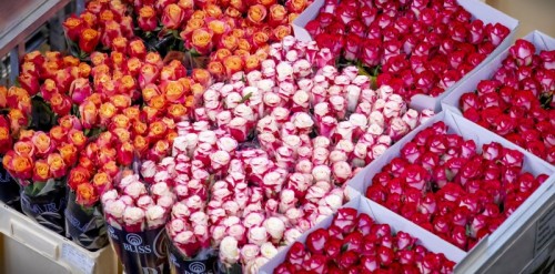 Valentine's Day Bouquet