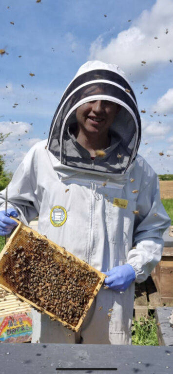 Discover All About Bees This Easter at Stratford Butterfly Farm! 1 bees