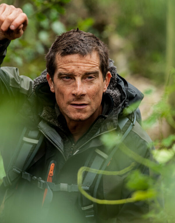 Bear Grylls