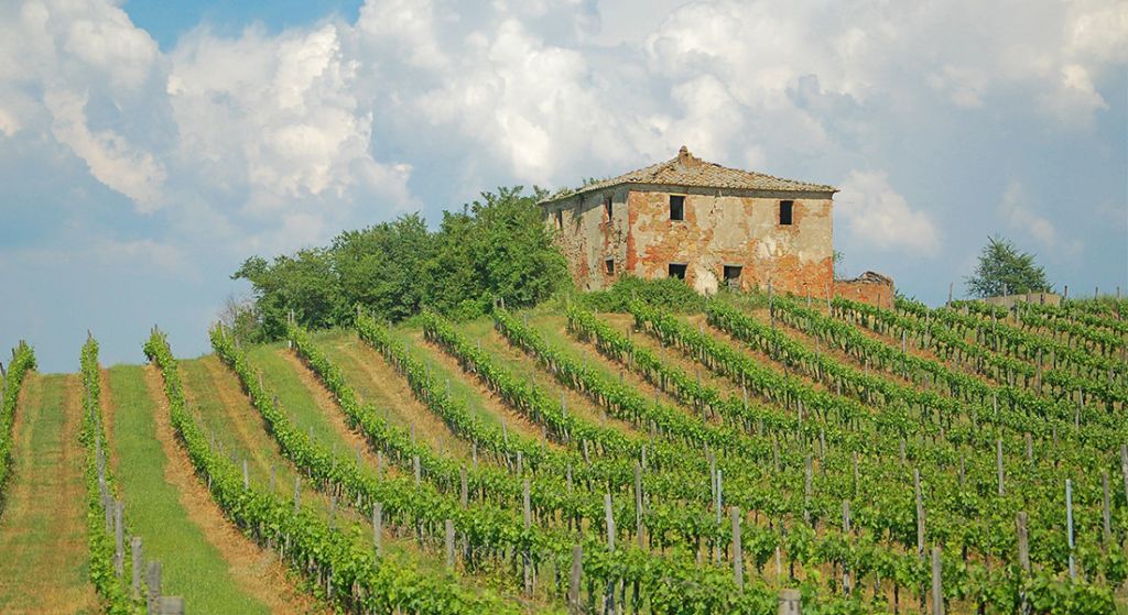 Collette Presents ‘Tuscan & Umbrian Countryside’ Tour