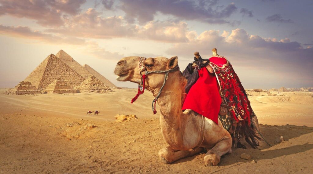 Cash Payments Will Be Prohibited at Egypt Popular Attractions 14 egypt