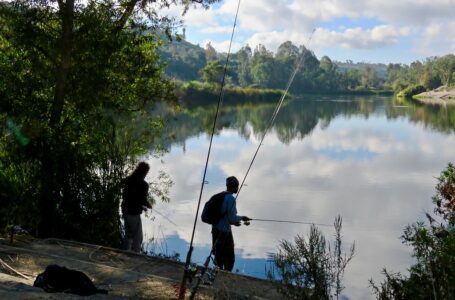 fishing