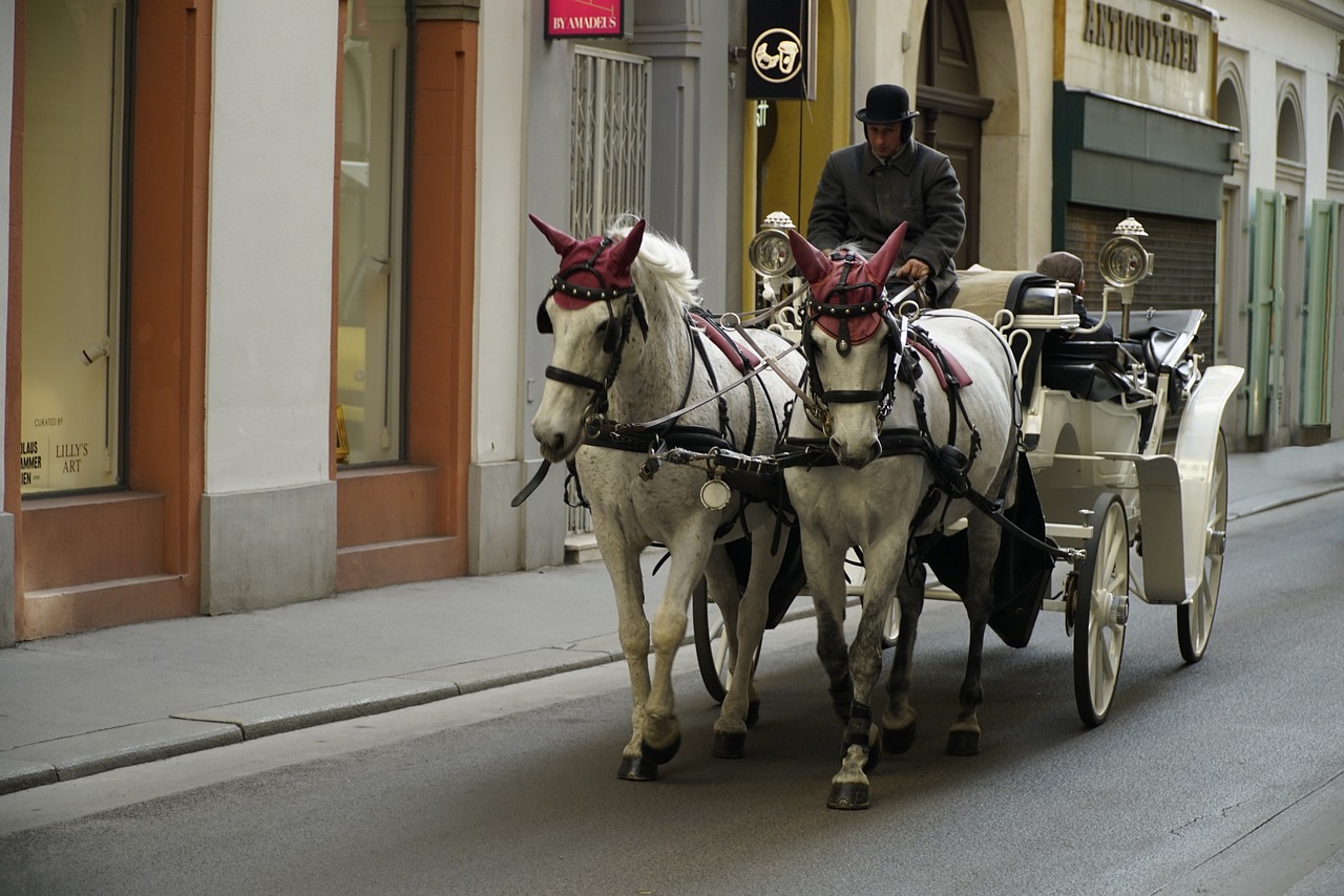 Brussels Bans Tourist Horse Carriages Starting in 2024 1 Horse Carriages
