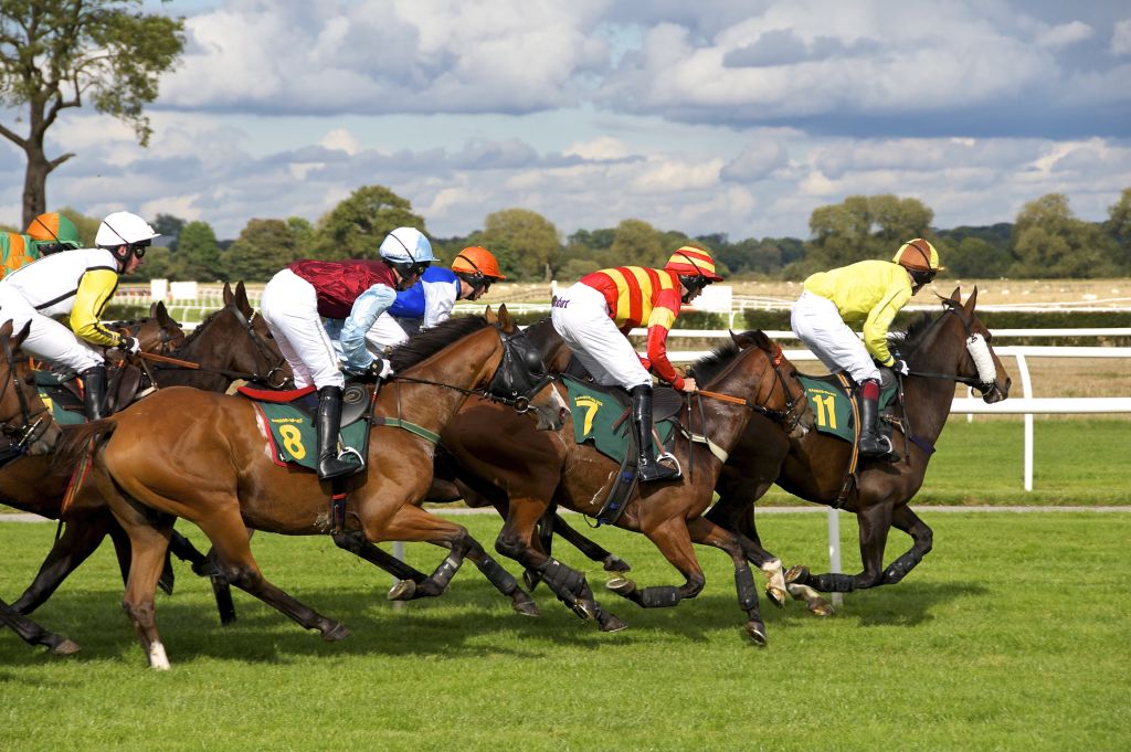 horse racing